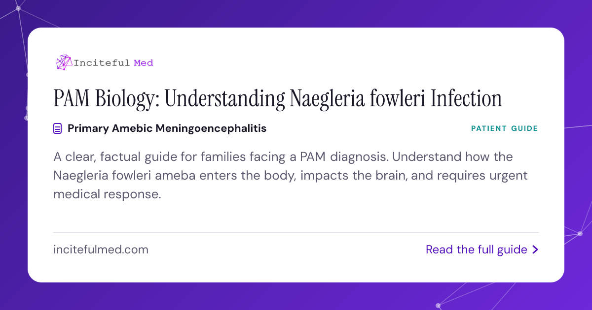 Pam Infection PAM Infection Biology: What Happens in the Brain | Inciteful Med Resources
